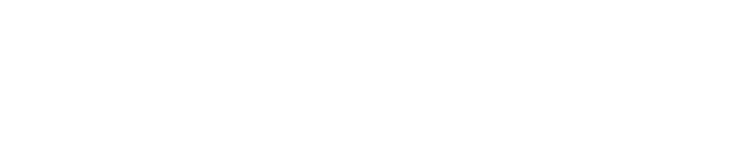 VES Specialists Logo